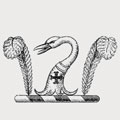 Wimborne family crest, coat of arms