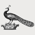 Hanmer family crest, coat of arms