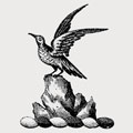 Hockin family crest, coat of arms