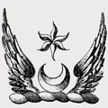 Scott family crest, coat of arms