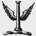 Aine family crest, coat of arms