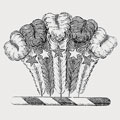 De Cetto family crest, coat of arms