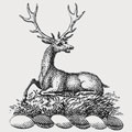 Carrol family crest, coat of arms