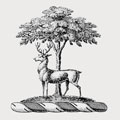 De Hussey-Burgh family crest, coat of arms