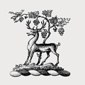 Isherwood family crest, coat of arms