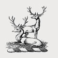 Flockhart family crest, coat of arms