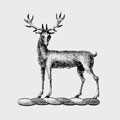 Haliburton family crest, coat of arms