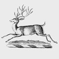 Buckeridge family crest, coat of arms
