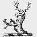 Foster family crest, coat of arms