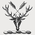 Chapman family crest, coat of arms