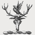 Byrde family crest, coat of arms