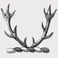 Hirtzl family crest, coat of arms