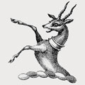 Kierman family crest, coat of arms