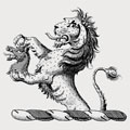 Mcdermott family crest, coat of arms