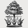 Monteath-Douglas family crest, coat of arms