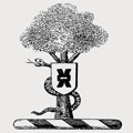 Quain family crest, coat of arms