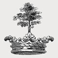 Burton family crest, coat of arms