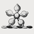 Farby family crest, coat of arms