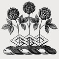 Brodribb family crest, coat of arms