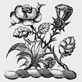 Denham family crest, coat of arms