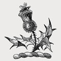 Ferguson family crest, coat of arms