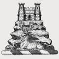 Tregoning family crest, coat of arms