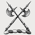 Joynour family crest, coat of arms