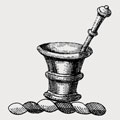 Burslam family crest, coat of arms