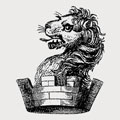 Anton family crest, coat of arms