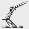 Delane family crest, coat of arms