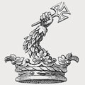 Ashawe family crest, coat of arms