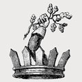 Ackermann family crest, coat of arms