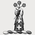 Byngham family crest, coat of arms