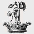 Taunton family crest, coat of arms