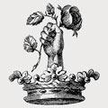 Clutterbuck family crest, coat of arms