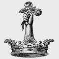 Parsons family crest, coat of arms