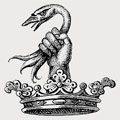 Dawe family crest, coat of arms