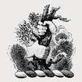 Lear family crest, coat of arms