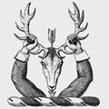Maskelyne family crest, coat of arms