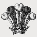 De Worms family crest, coat of arms