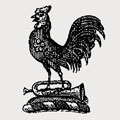 Blackburne family crest, coat of arms
