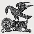 Rook family crest, coat of arms