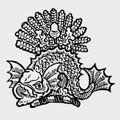 James family crest, coat of arms
