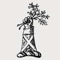 Rostron family crest, coat of arms