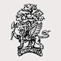 Glenn family crest, coat of arms