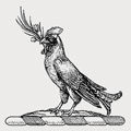 Llandaff family crest, coat of arms