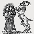 Burkitt family crest, coat of arms