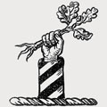 Brooke family crest, coat of arms
