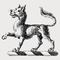 Reskinner family crest, coat of arms