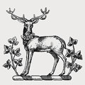 Halliburton family crest, coat of arms